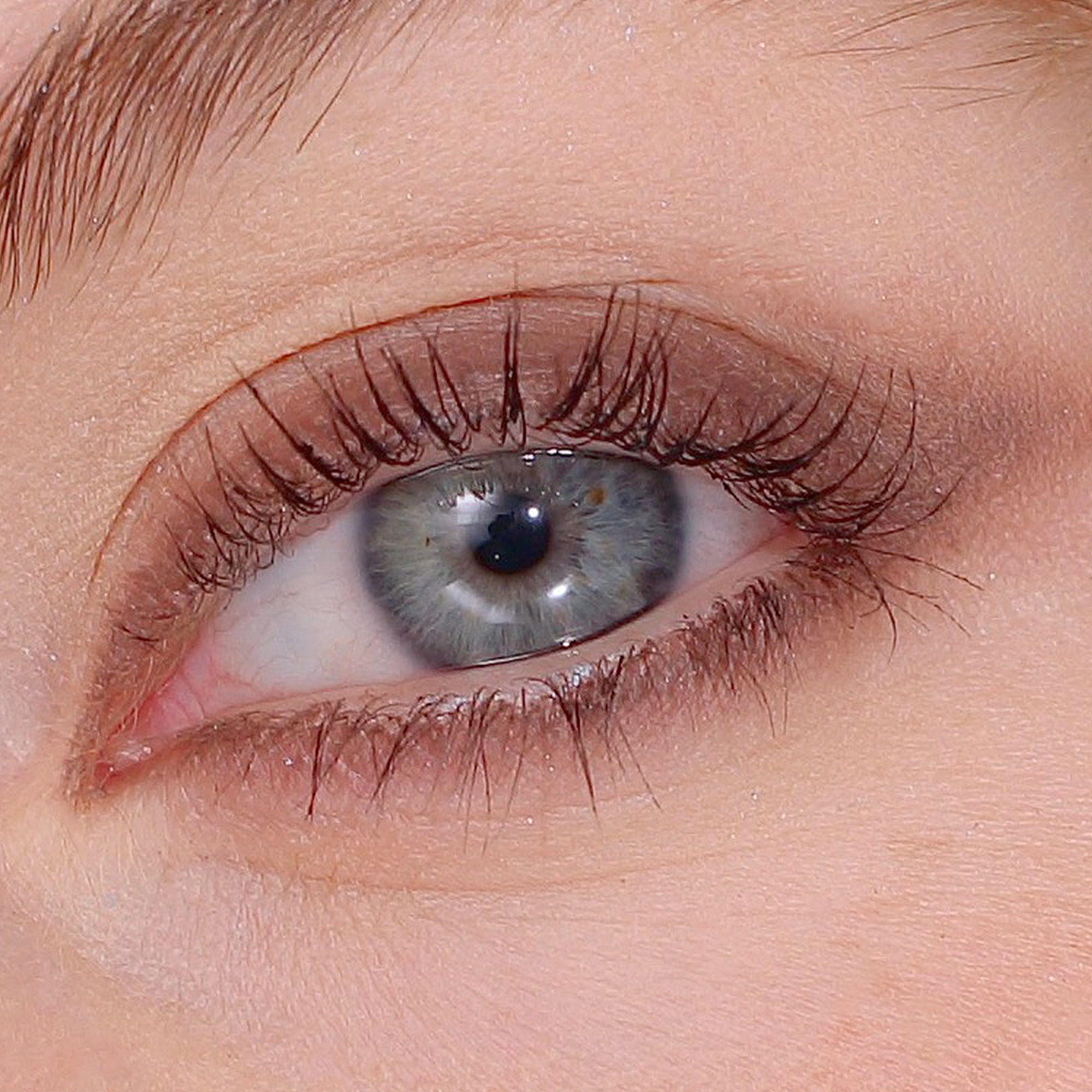 ZOEVA - Velvet Love Eyeliner Pencil (Perfect Mocha) - EYELINER